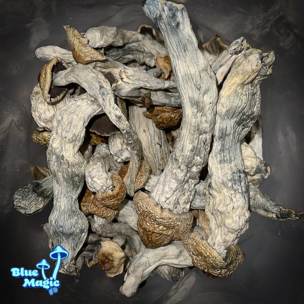 Shepherds Cut Penis Envy Blue Magic